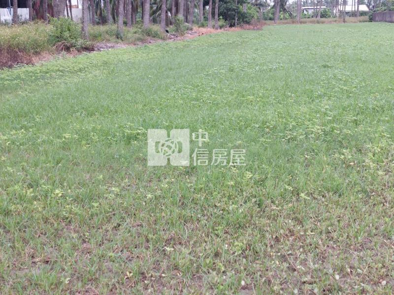 近台江大道都內方正農地房屋室內格局與周邊環境