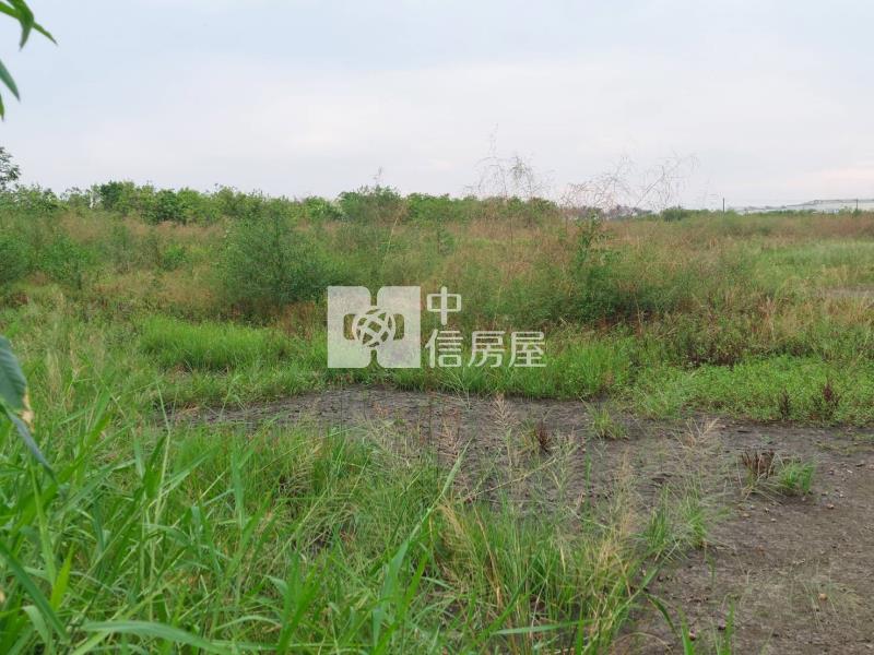 近台江大道都內方正農地房屋室內格局與周邊環境