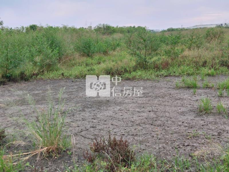 近台江大道都內方正農地房屋室內格局與周邊環境
