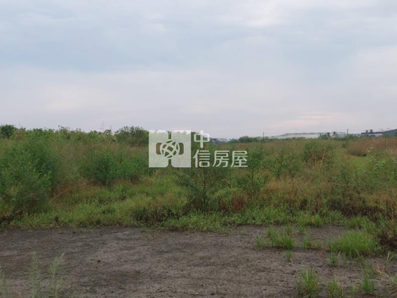 近台江大道都內方正農地房屋室內格局與周邊環境
