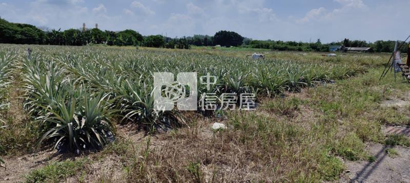 山上區15米路千坪旺財增值農地(一)房屋室內格局與周邊環境