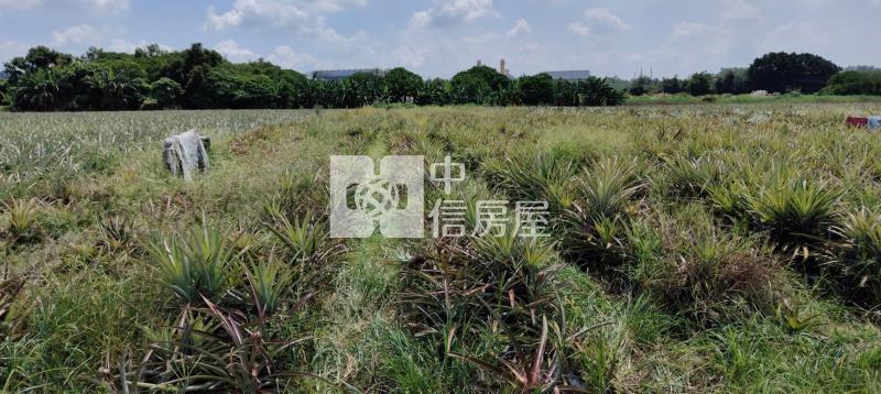 山上區15米路千坪旺財增值農地(一)房屋室內格局與周邊環境
