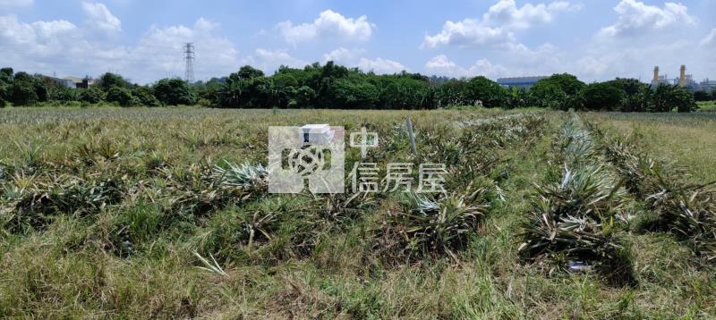 山上區15米路千坪旺財增值農地(一)房屋室內格局與周邊環境