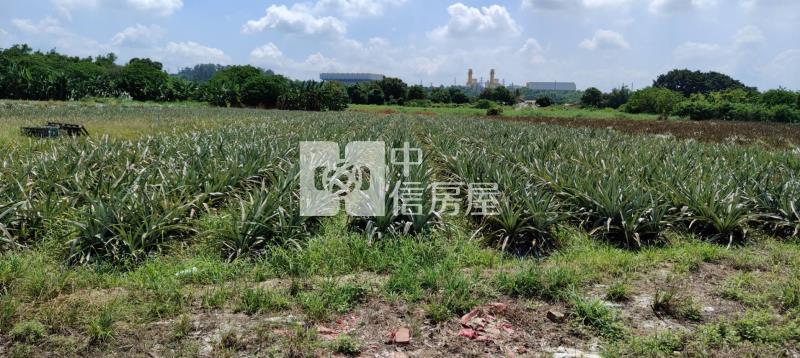 山上區15米路千坪旺財增值農地(一)房屋室內格局與周邊環境