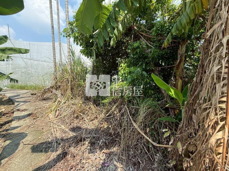 7I94嘉義縣中埔農地房屋室內格局與周邊環境