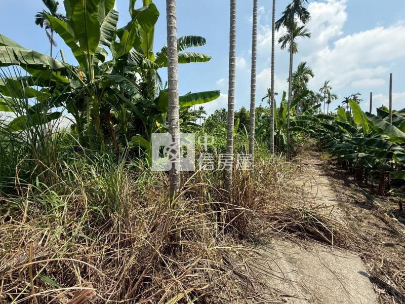 7I94嘉義縣中埔農地房屋室內格局與周邊環境