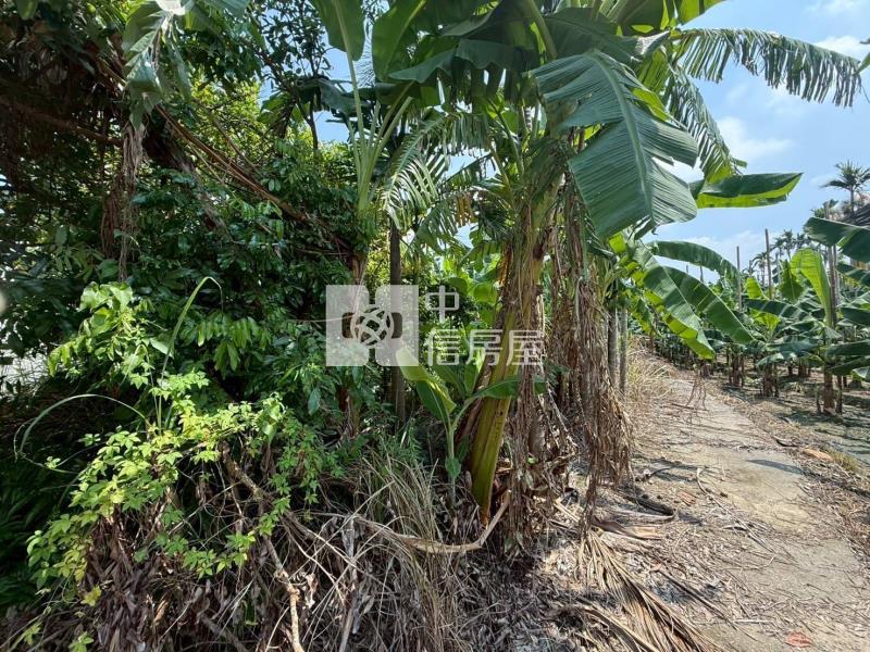 7I94嘉義縣中埔農地房屋室內格局與周邊環境