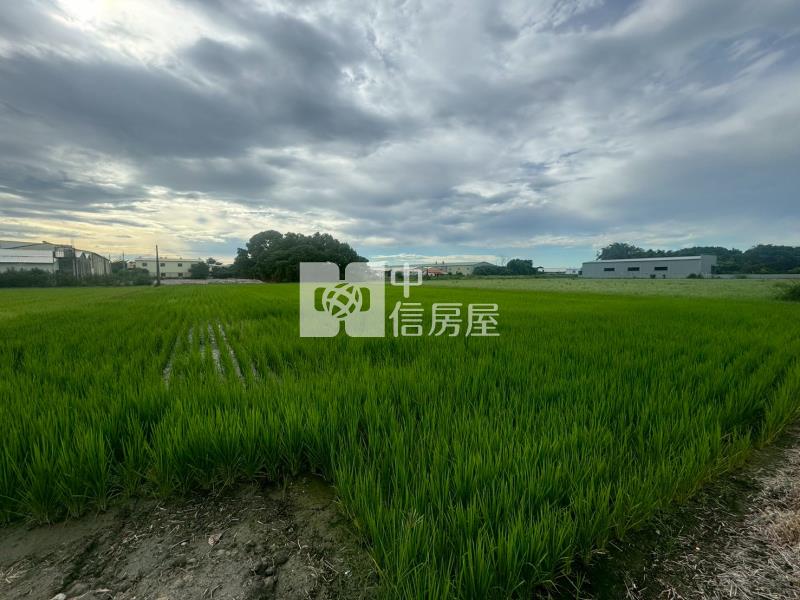 1I36彰化交流道特定區-南安段房屋室內格局與周邊環境