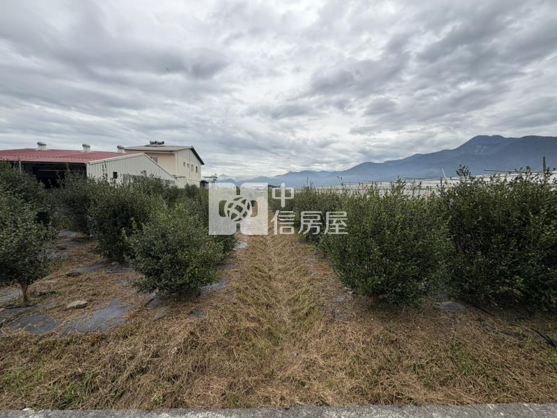 藍成355好田房屋室內格局與周邊環境