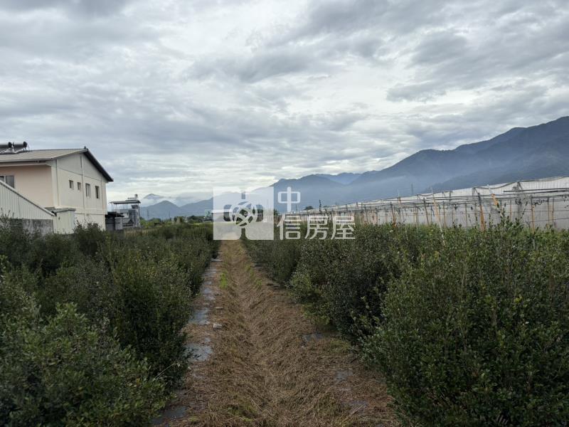 藍成355好田房屋室內格局與周邊環境