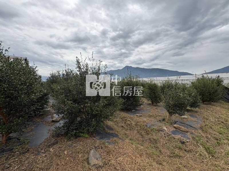 藍成355好田房屋室內格局與周邊環境