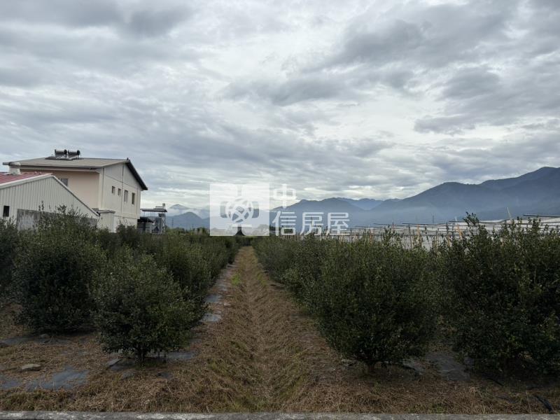 藍成355好田房屋室內格局與周邊環境