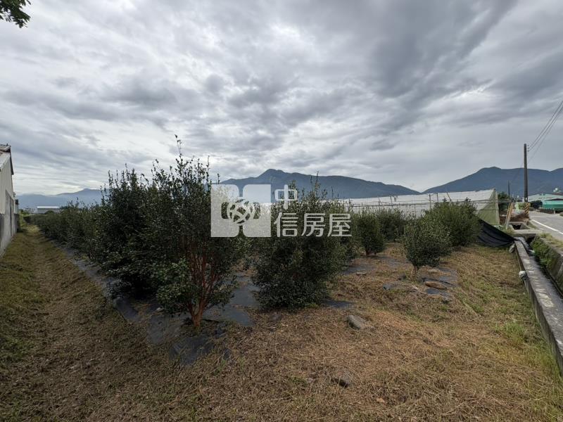 藍成355好田房屋室內格局與周邊環境
