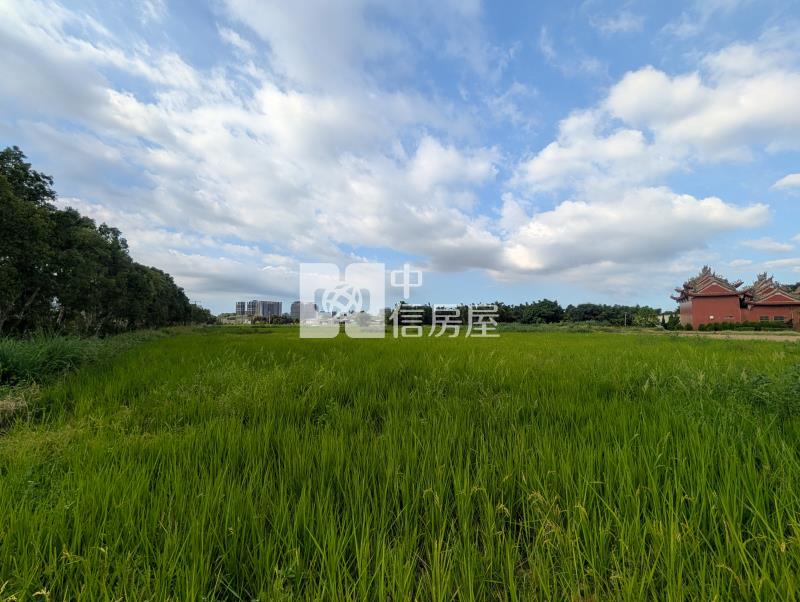 青埔旁農地房屋室內格局與周邊環境