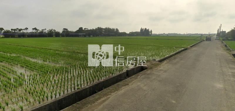 大坡國小8米路方正農地房屋室內格局與周邊環境