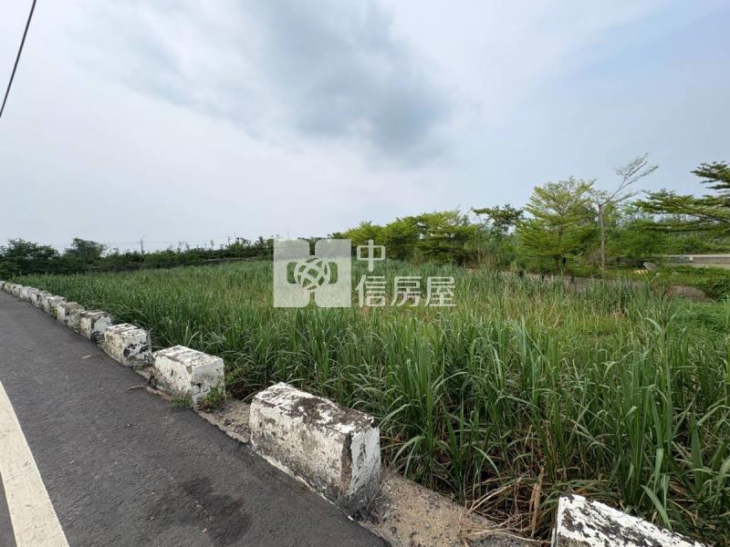 嘉義水上鄉近市區持分農地房屋室內格局與周邊環境