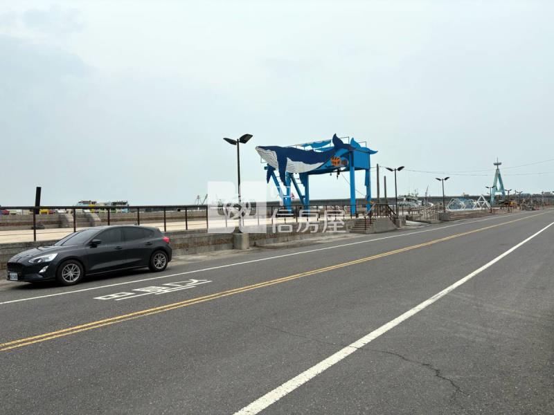 嘉義水上鄉近市區持分農地房屋室內格局與周邊環境