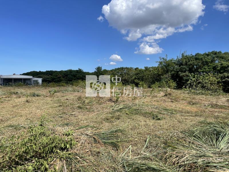 (專)近青埔正山大路大面寬方正農牧地房屋室內格局與周邊環境