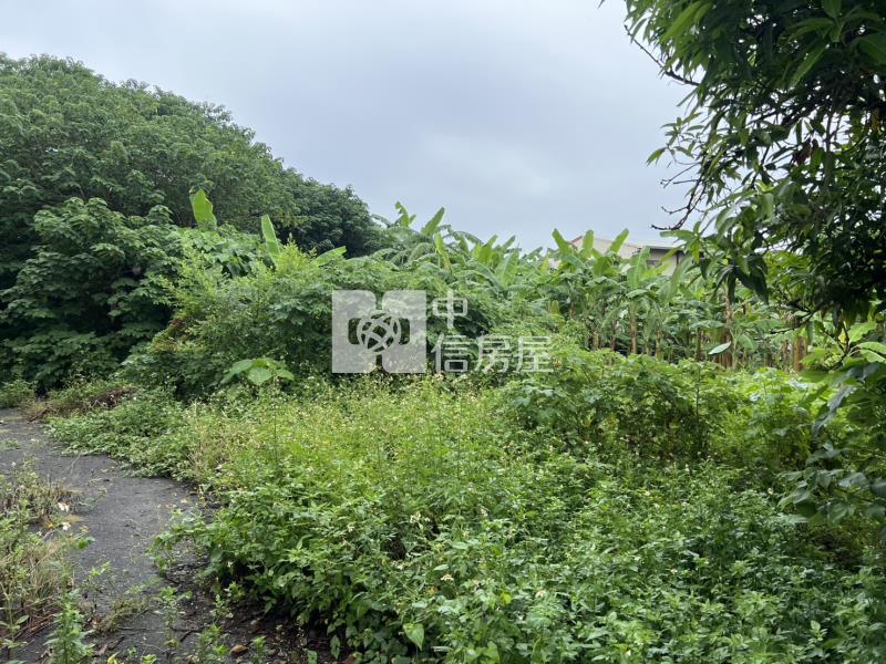 雲林元長鄉客厝美建地房屋室內格局與周邊環境