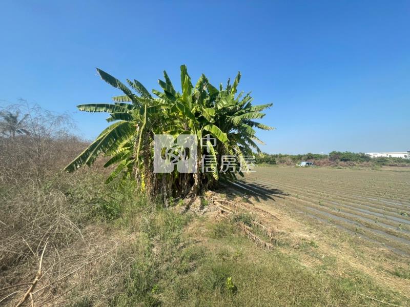 土城都計內農地房屋室內格局與周邊環境