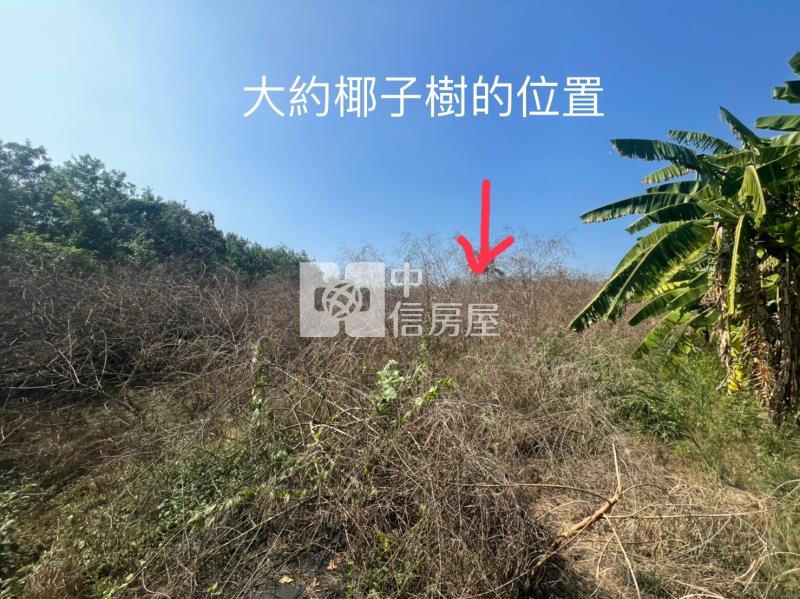 土城都計內農地房屋室內格局與周邊環境