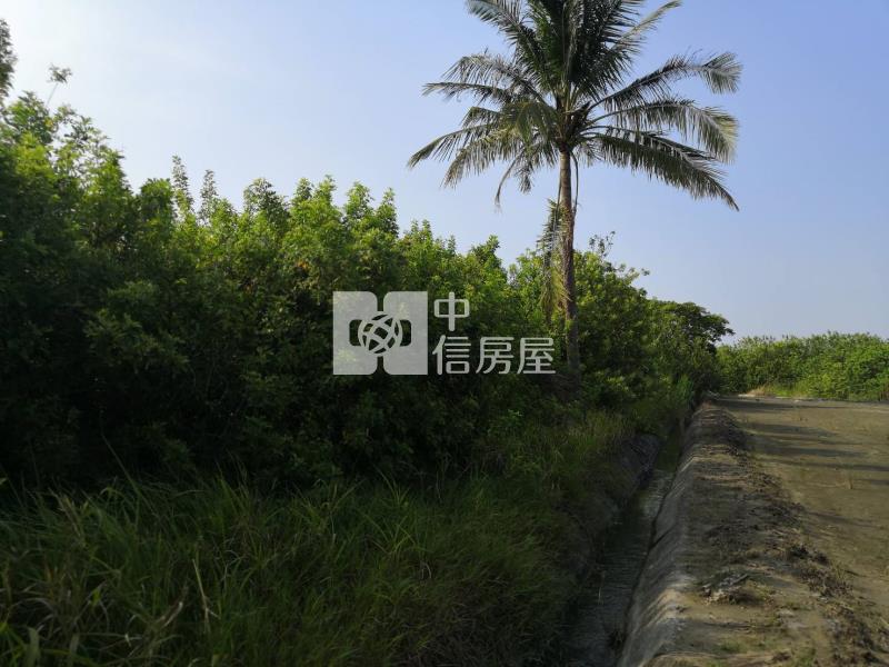 土城都計內農地房屋室內格局與周邊環境