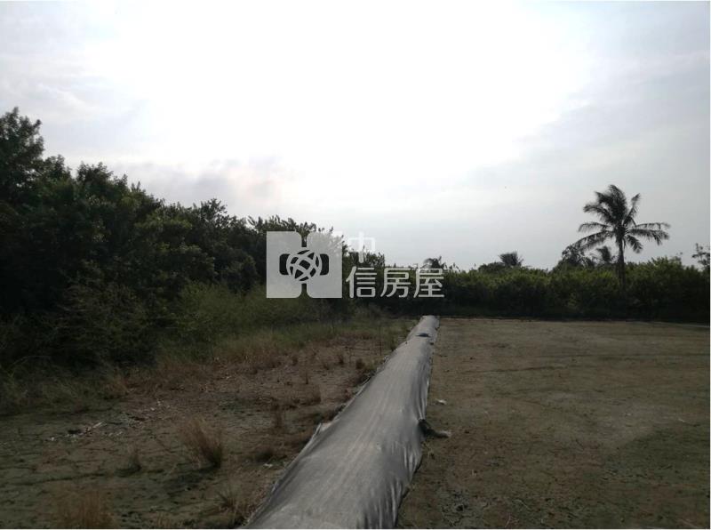 土城都計內農地房屋室內格局與周邊環境