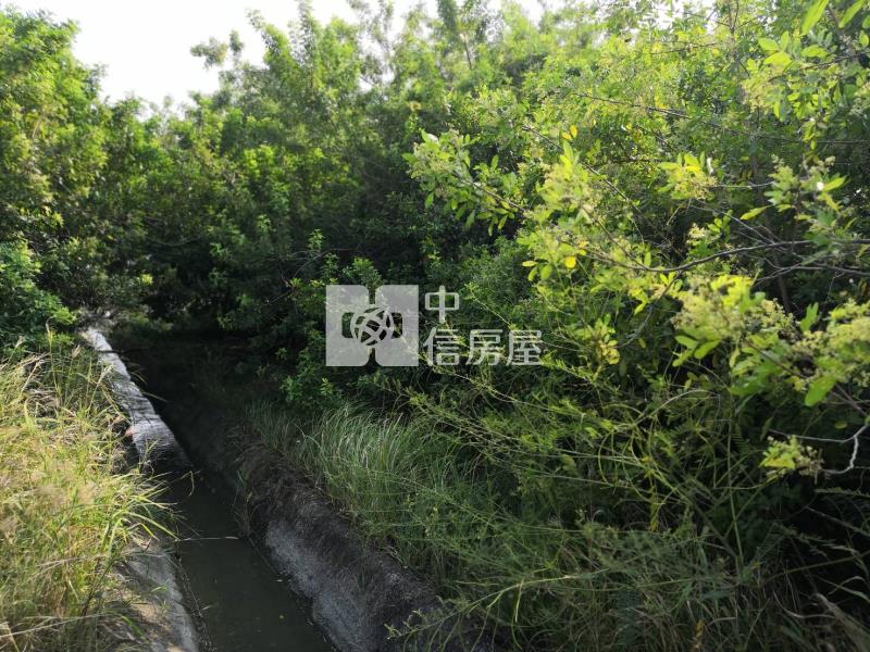土城都計內農地房屋室內格局與周邊環境