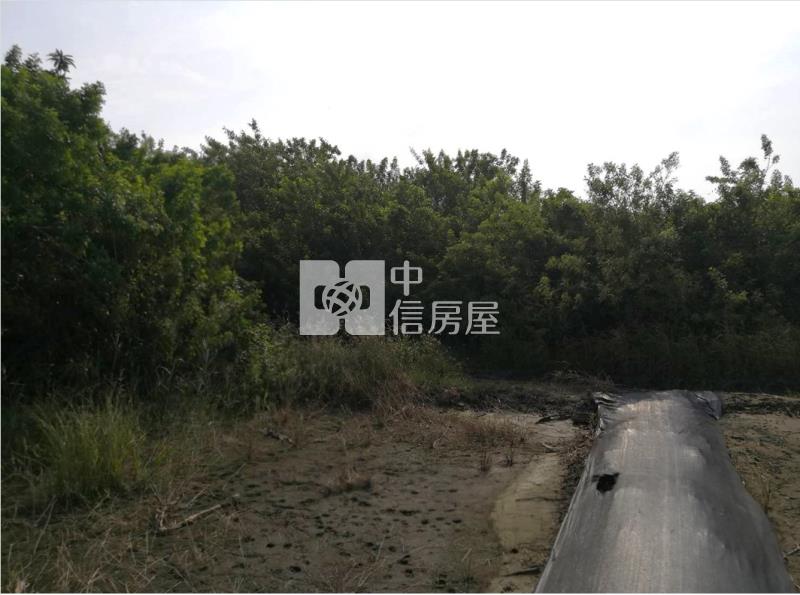 土城都計內農地房屋室內格局與周邊環境