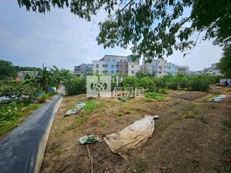 茄苳段都計內農地房屋室內格局與周邊環境