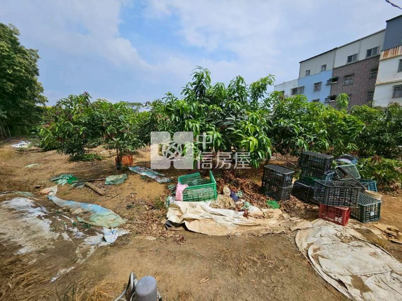 茄苳段都計內農地房屋室內格局與周邊環境