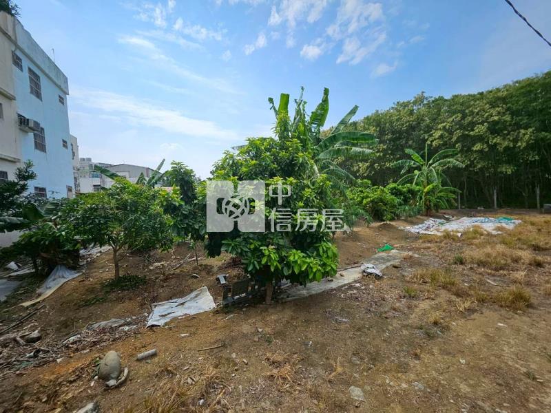 茄苳段都計內農地房屋室內格局與周邊環境