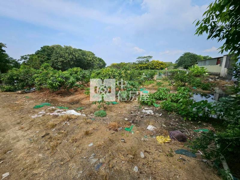 茄苳段都計內農地房屋室內格局與周邊環境