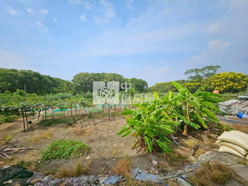茄苳段都計內農地房屋室內格局與周邊環境