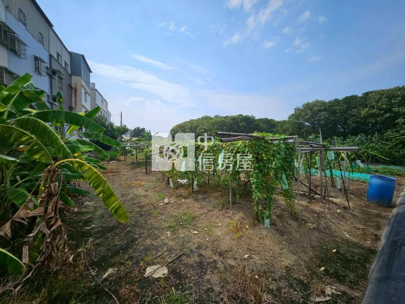 茄苳段都計內農地房屋室內格局與周邊環境
