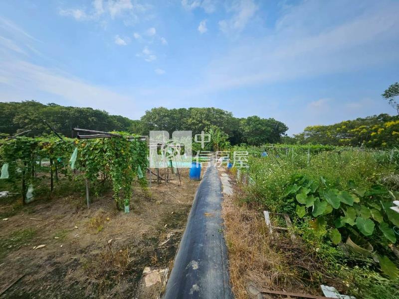 茄苳段都計內農地房屋室內格局與周邊環境