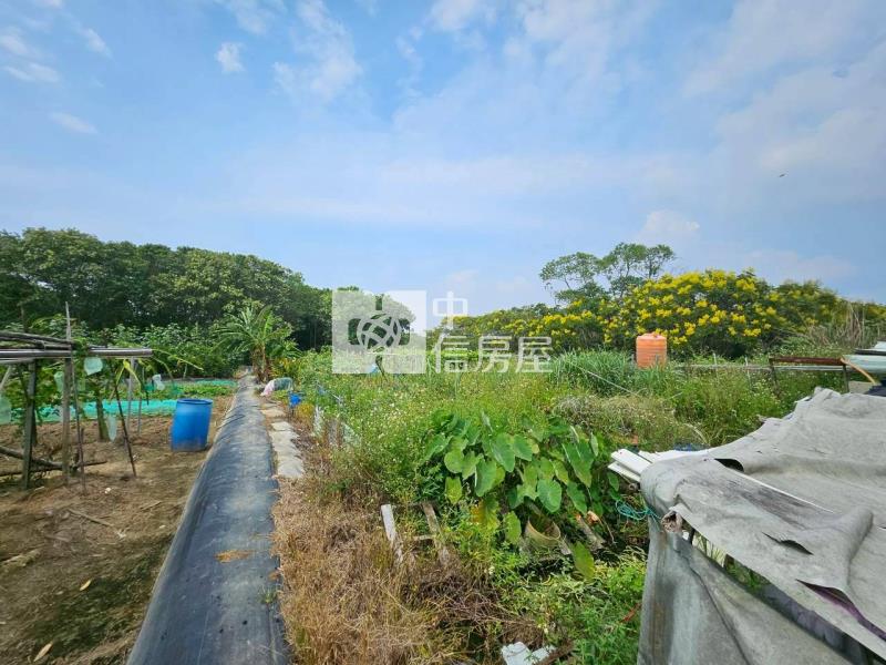 茄苳段都計內農地房屋室內格局與周邊環境