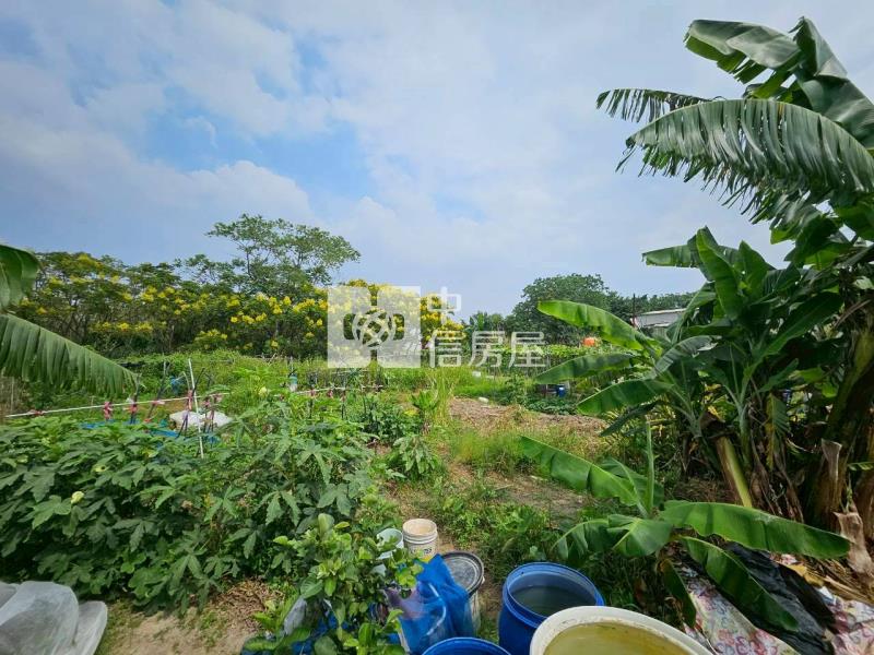 茄苳段都計內農地房屋室內格局與周邊環境