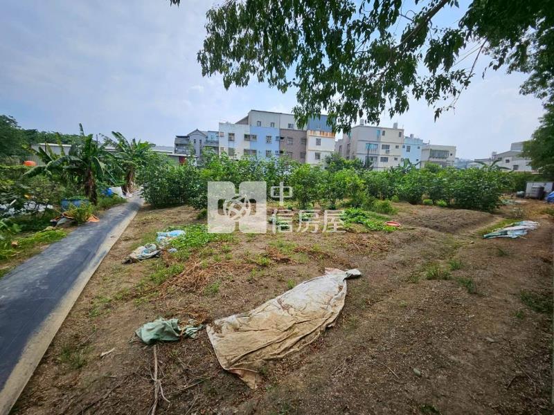 茄苳段都計內農地房屋室內格局與周邊環境