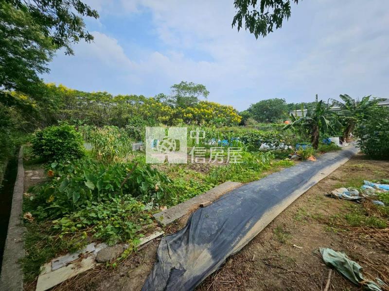 茄苳段都計內農地房屋室內格局與周邊環境