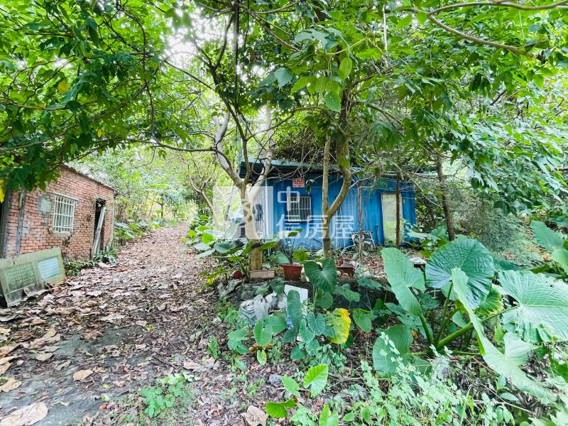 5W82宜蘭石城土地房屋室內格局與周邊環境