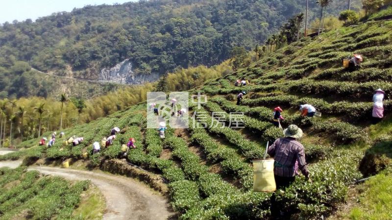 近阿里山鐵路梨園寮站高山茶園農牧用地房屋室內格局與周邊環境