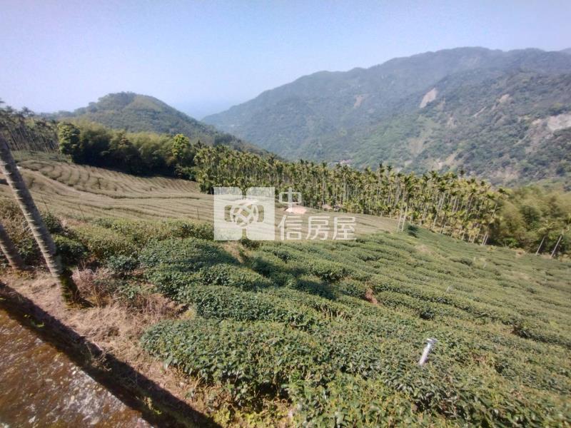 近阿里山鐵路梨園寮站高山茶園農牧用地房屋室內格局與周邊環境