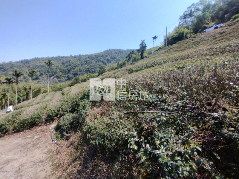 近阿里山鐵路梨園寮站高山茶園農牧用地房屋室內格局與周邊環境