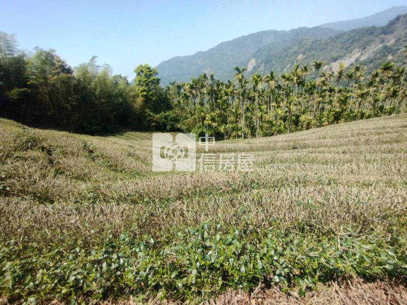 近阿里山鐵路梨園寮站高山茶園農牧用地房屋室內格局與周邊環境