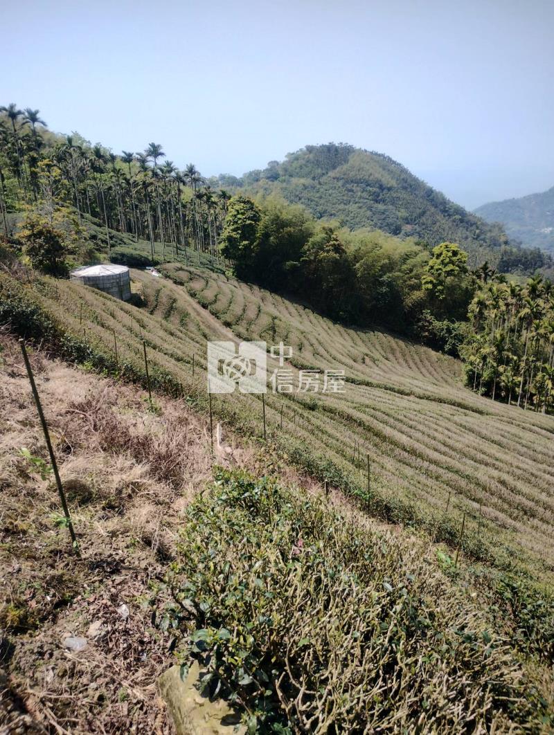 近阿里山鐵路梨園寮站高山茶園農牧用地房屋室內格局與周邊環境