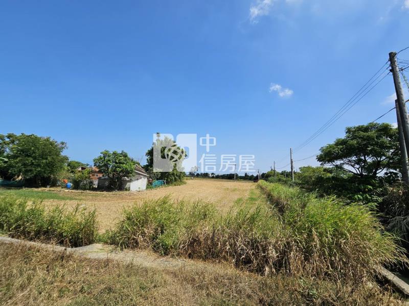 大園和平段大面寬雙面臨路農地房屋室內格局與周邊環境