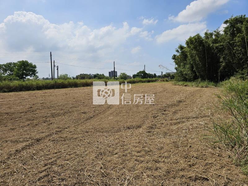 大園和平段大面寬雙面臨路農地房屋室內格局與周邊環境