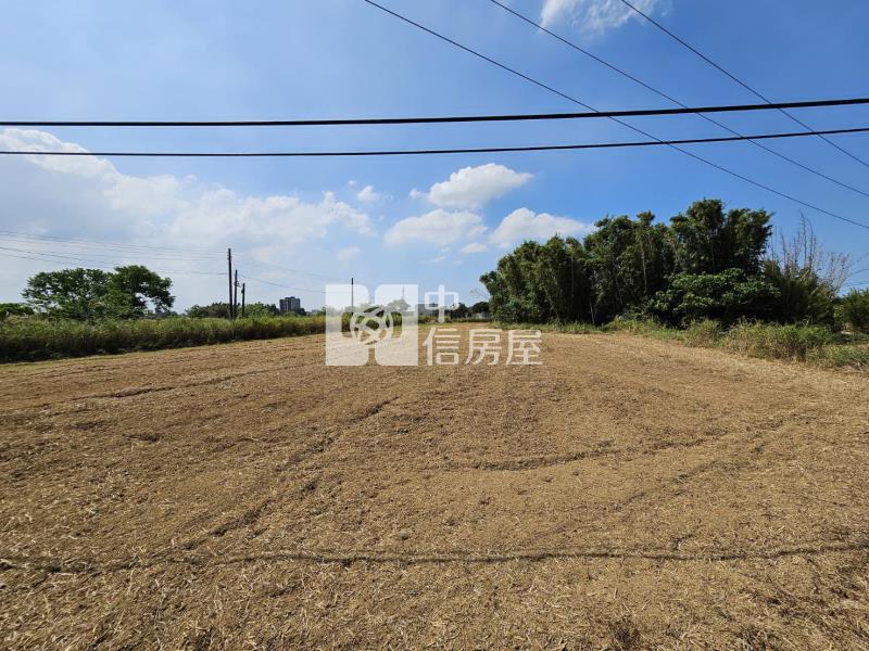 大園和平段大面寬雙面臨路農地房屋室內格局與周邊環境