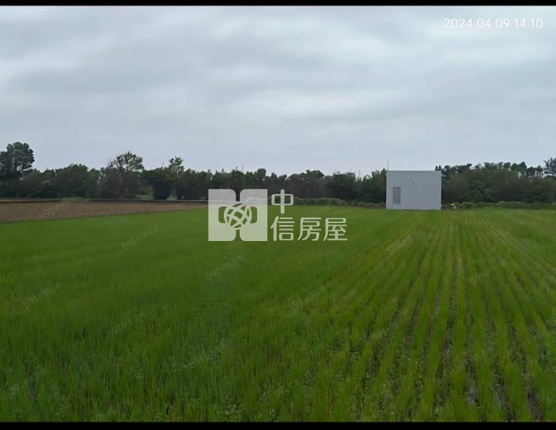 觀音㊣66旁全新資材室房屋室內格局與周邊環境